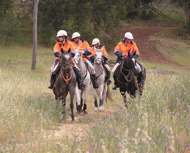 SES Mounted Section